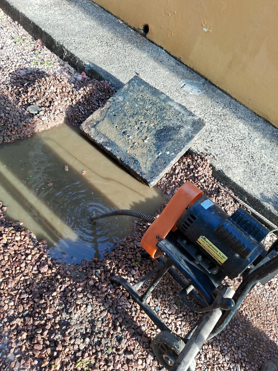 WhatsApp Image 2024-10-12 at 01.23.04 (2)